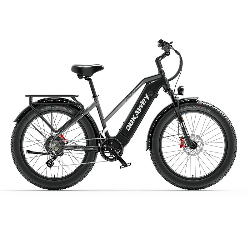 LANKELEISI DM530PLUS 1000W motor 20AH high-capacity lithium battery