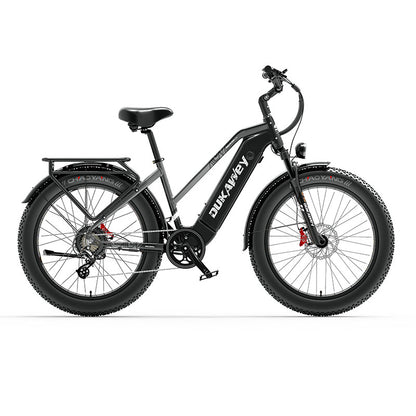 LANKELEISI DM530PLUS 1000W motor 20AH high-capacity lithium battery