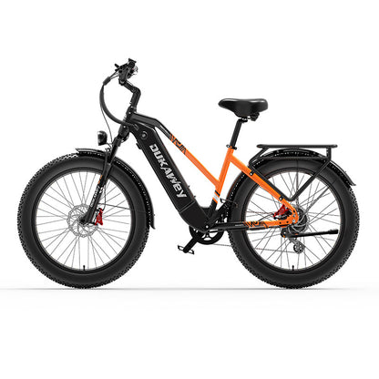 LANKELEISI DM530PLUS 1000W motor 20AH high-capacity lithium battery