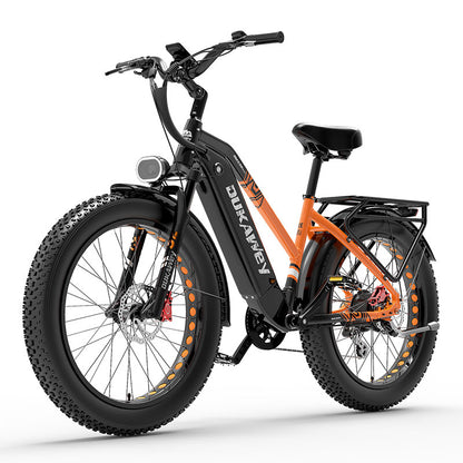 LANKELEISI DM530PLUS 1000W motor 20AH high-capacity lithium battery