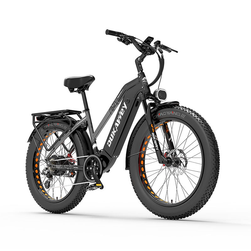 LANKELEISI DM530PLUS 1000W motor 20AH high-capacity lithium battery