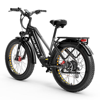 LANKELEISI DM530PLUS 1000W motor 20AH high-capacity lithium battery