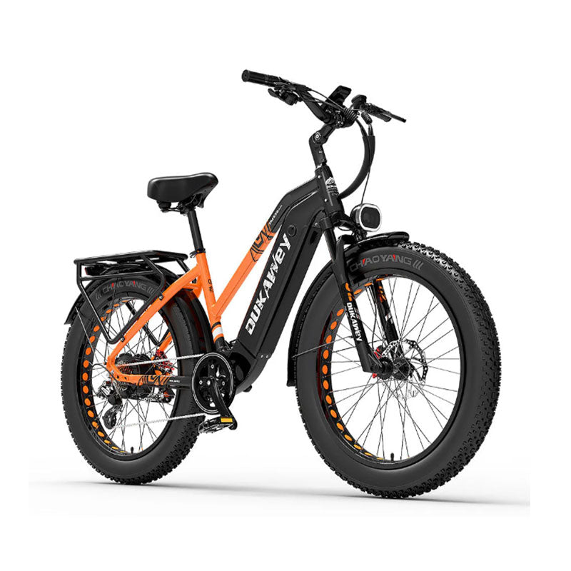 LANKELEISI DM530PLUS 1000W motor 20AH high-capacity lithium battery