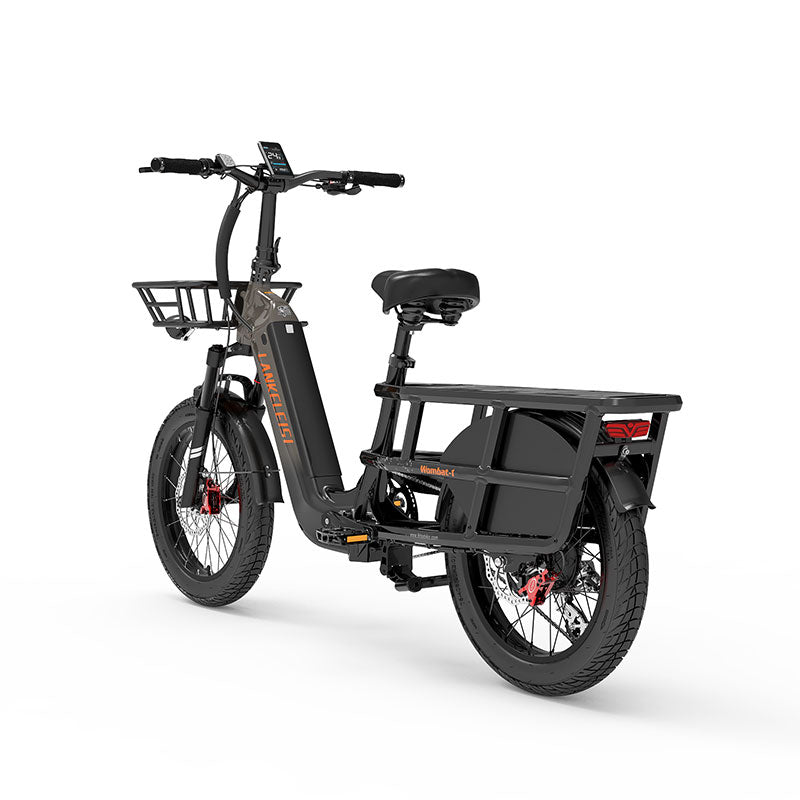 LANKELEISI Wombat1 1000W Motor City Electric Bike 20AH high-capacity lithium battery